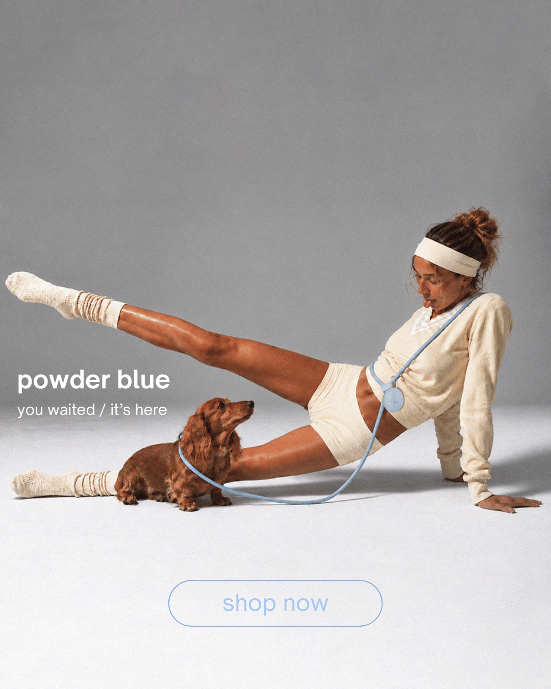 ST ARGO New Powder Blue Dog Products