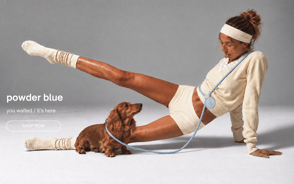 ST ARGO New Powder Blue Dog Products Banner