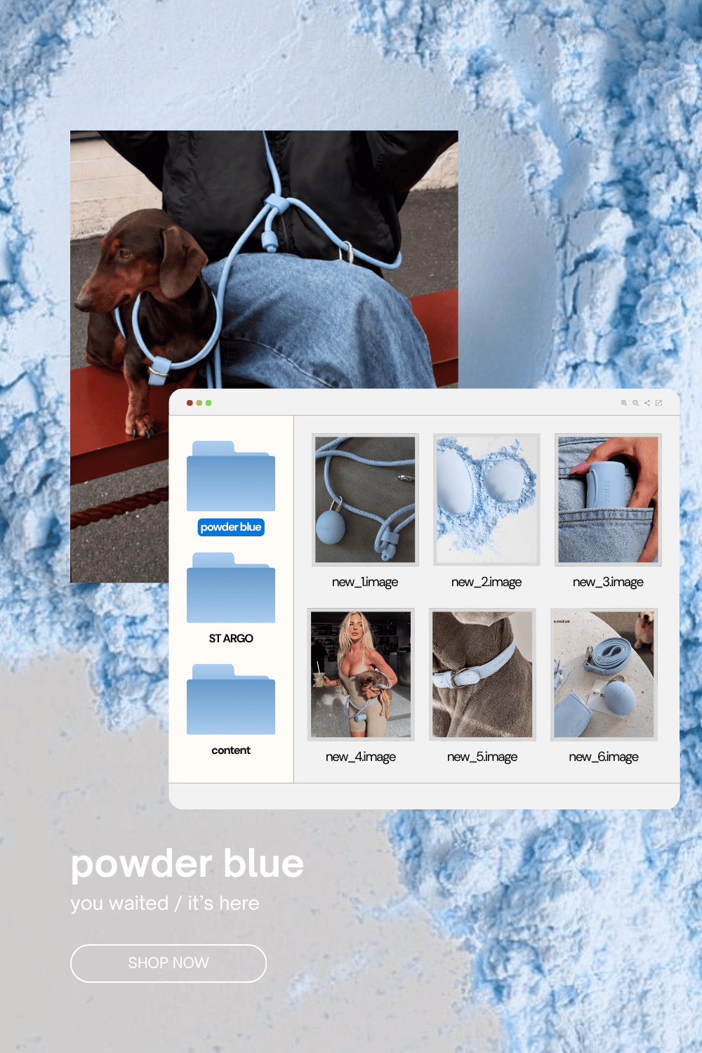 Powder Blue Dog Products Release ST ARGO