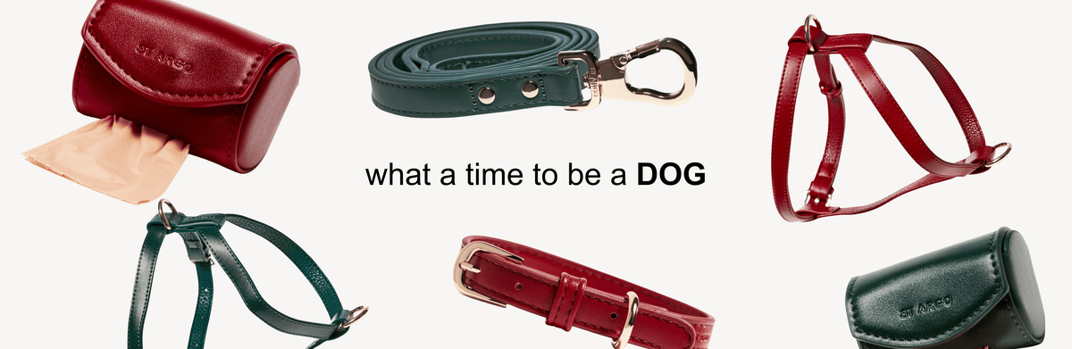 Red and Green Dog Products Christmas