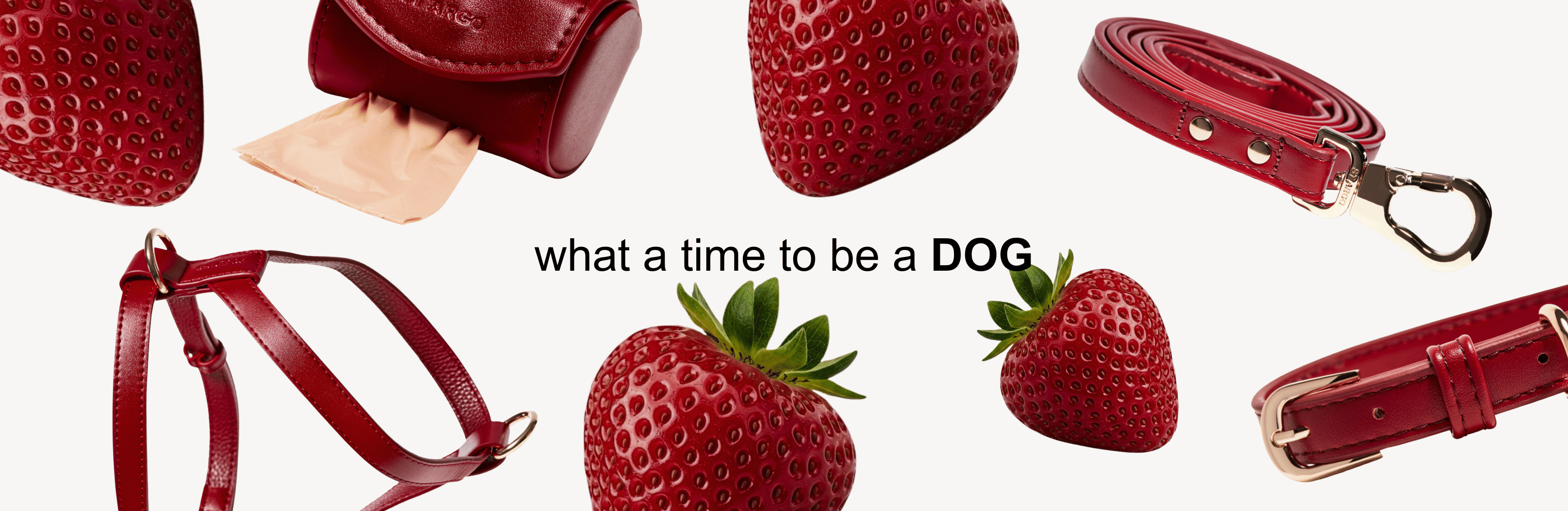 Dog Accessories in Ruby Red