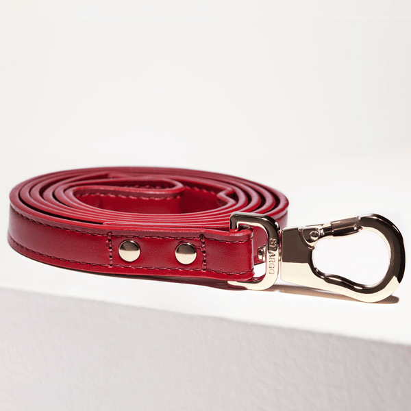 Red dog leash with gold hardware on a white background