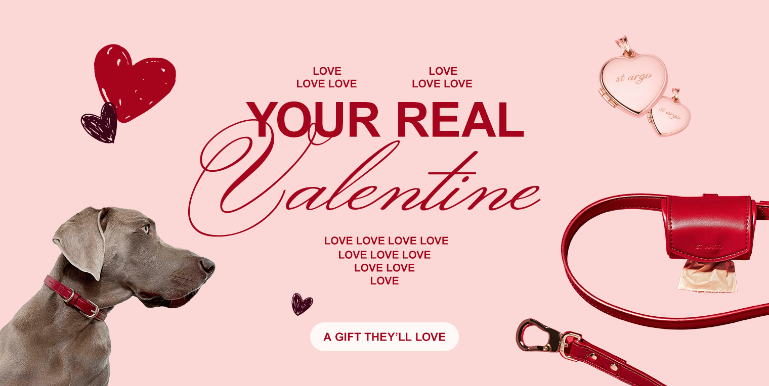 ST ARGO Promotional banner for Valentine's Day with a dog, red accessories, and decorative hearts on a pink background.