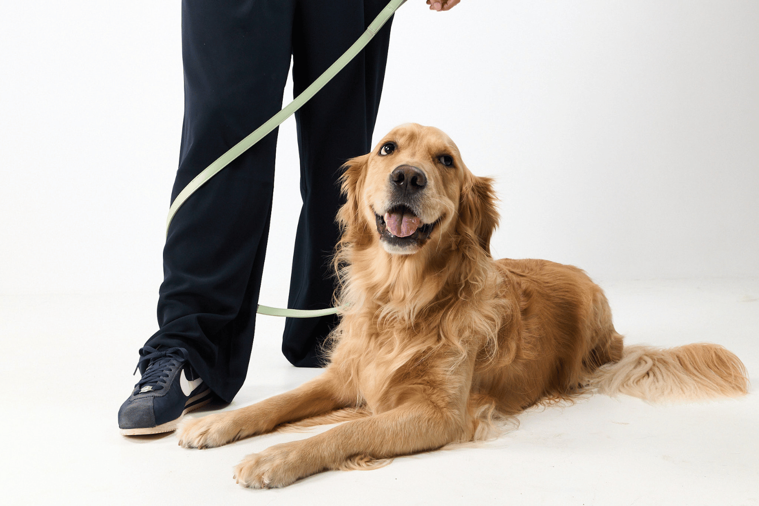 Sage Dog Lead