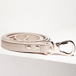 taupe vegan leather dog lead 