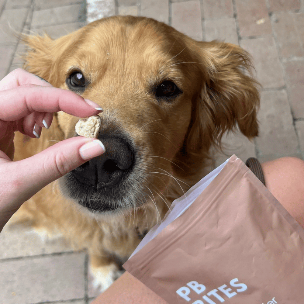 dog training treats peanut butter