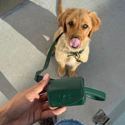 a cute golden retriever pup looks up at his bottle green poop bag holder