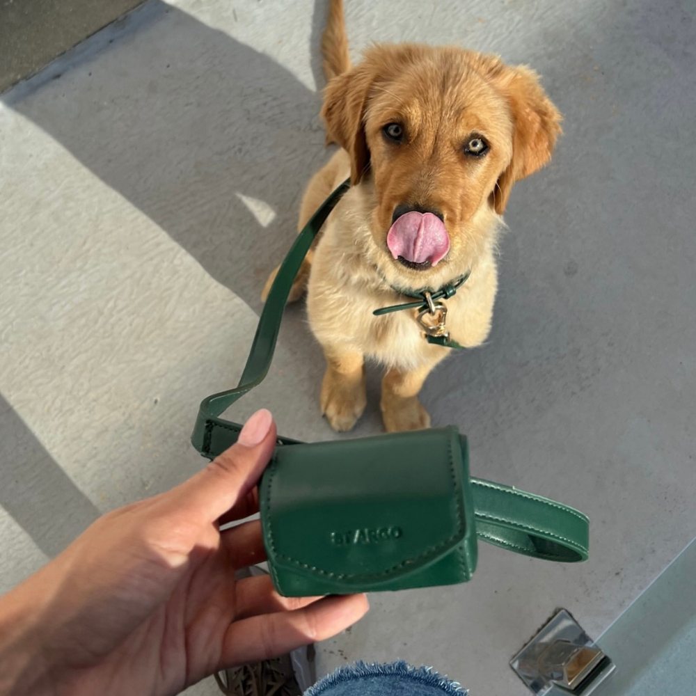 poop bag holder in bottle green vegan leather