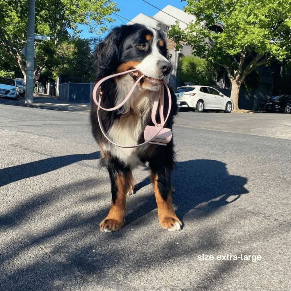 ST ARGO vegan leather pale pastel baby light pink dog collar walk set with leash lead and poop bag dispenser.