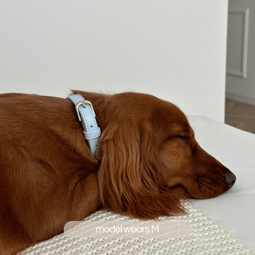 ST ARGO pastel pale ice blue vegan leather high quality durable dog collar with silver hardware.