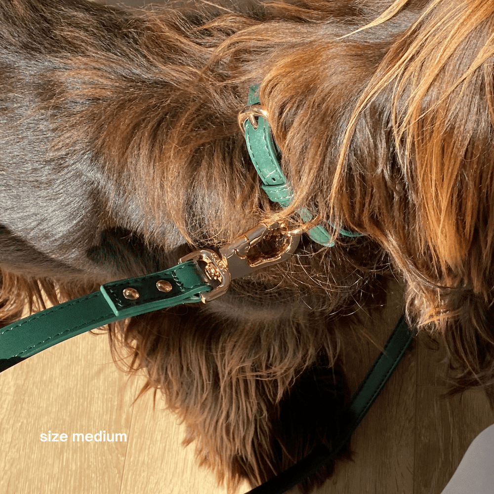 Bottle green vegan leather dog collar by ST ARGO with high quality durable custom gold hardware