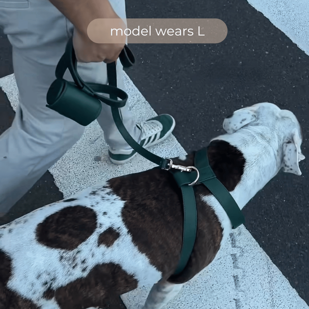 the bottle green harness walk set on a large dog