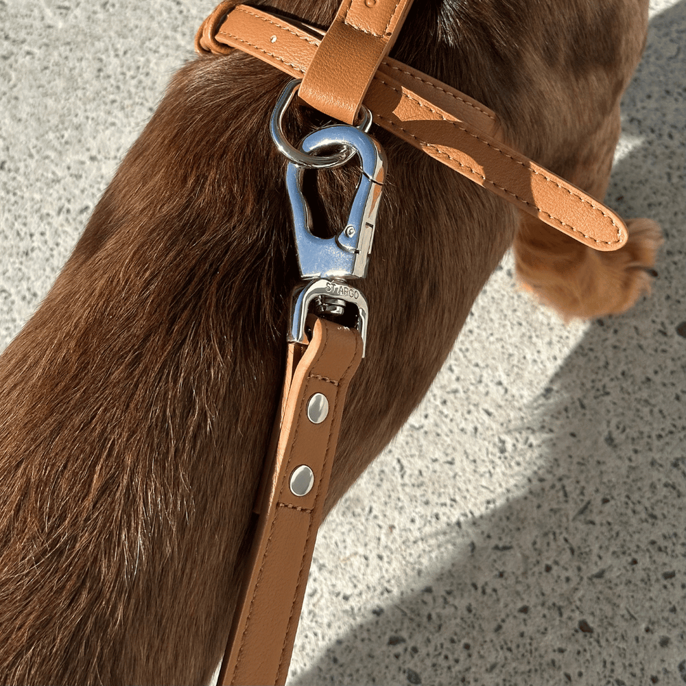 ST ARGO brown vegan leather dog leash with silver clasp