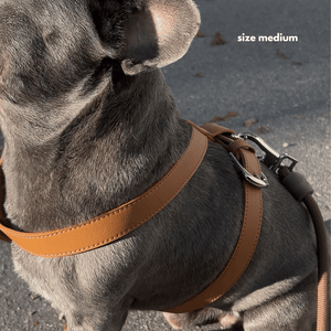 HARNESS - Brown