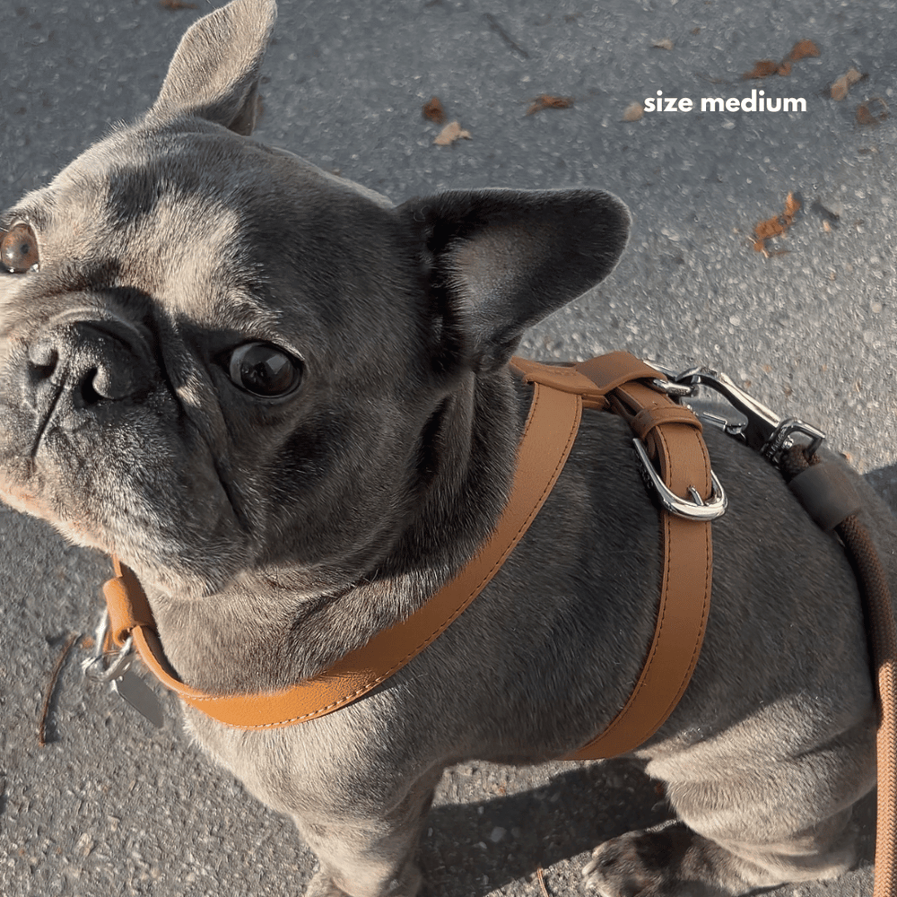 ST ARGO buttery brown dog harness in vegan leather