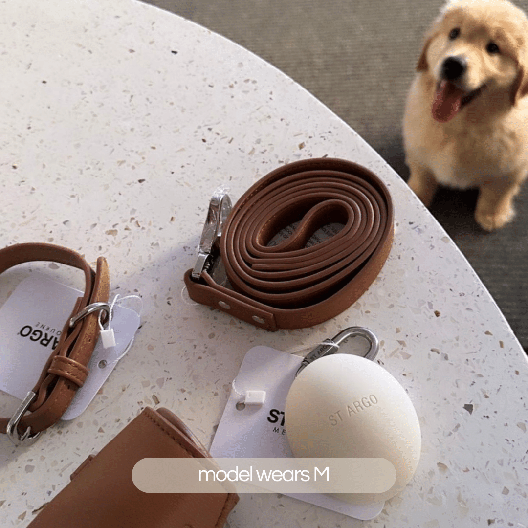 Vegan Leather Dog Collar & Lead Set, in Brown ST ARGO