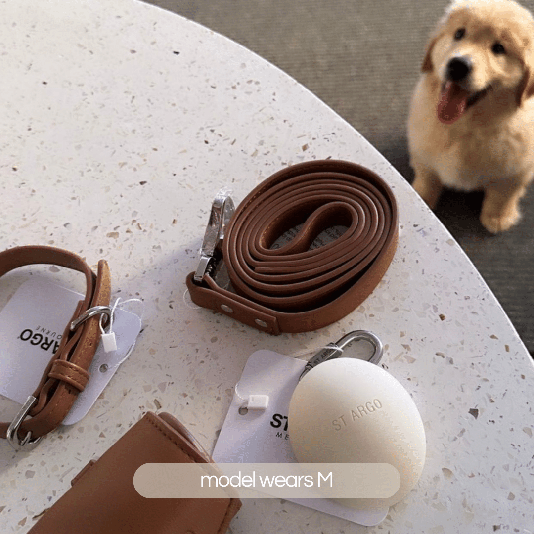 COLLAR WALK SET and small dog - Brown Vegan Leather - ST ARGO