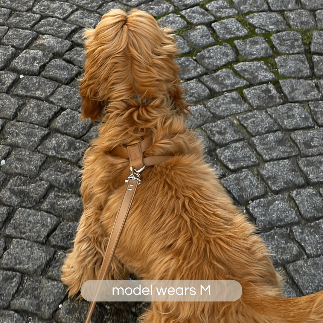 Argos dog harness clearance