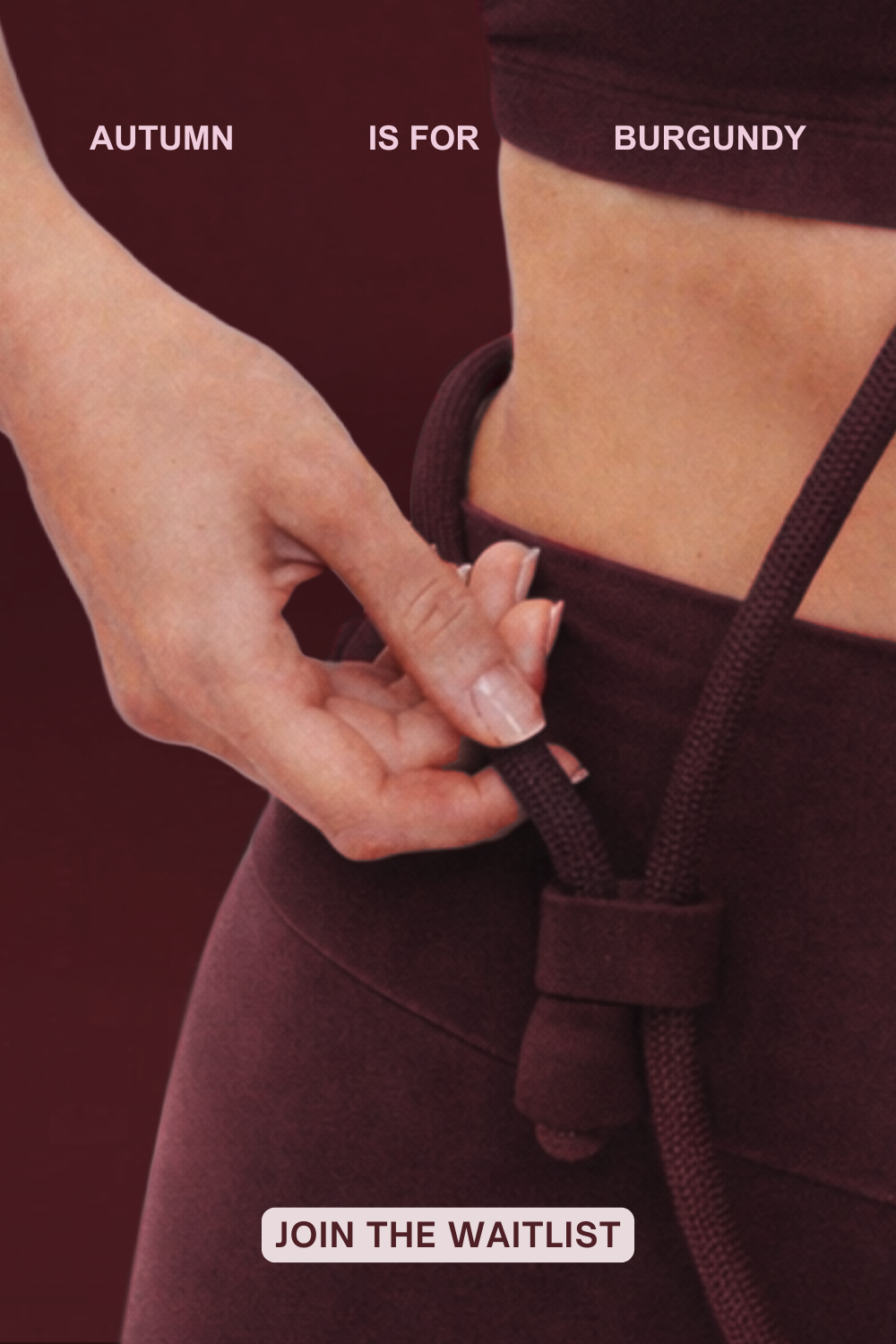 Burgundy dog products coming soon March