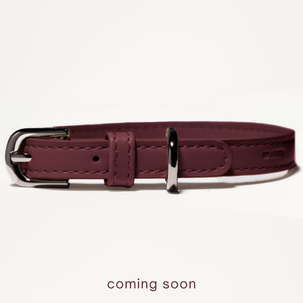 burgundy collars coming soon