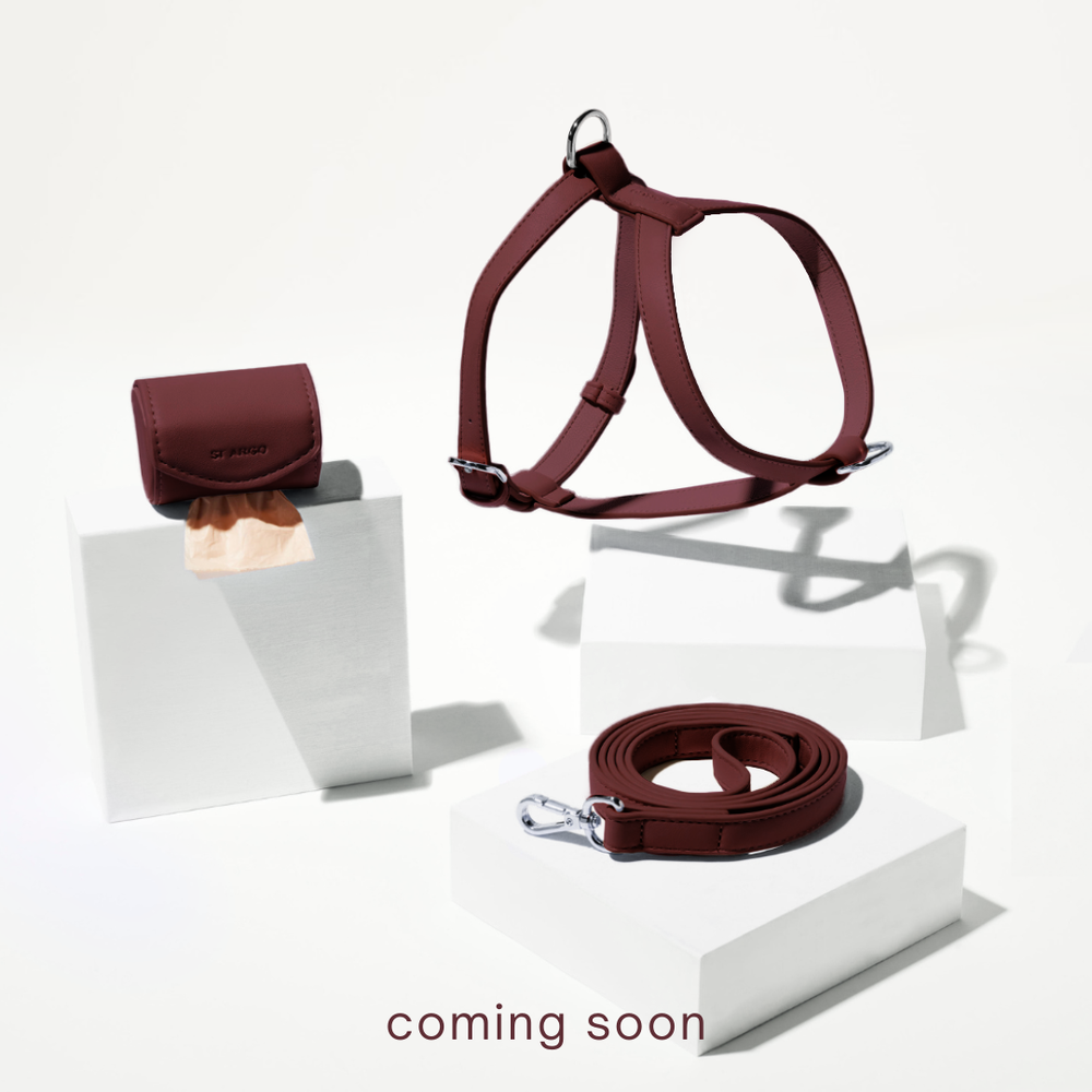 burgundy harness coming soon