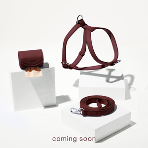 burgundy harness coming soon