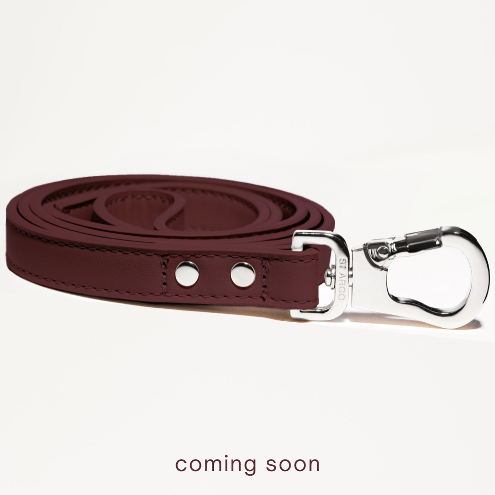 burgundy lead coming soon