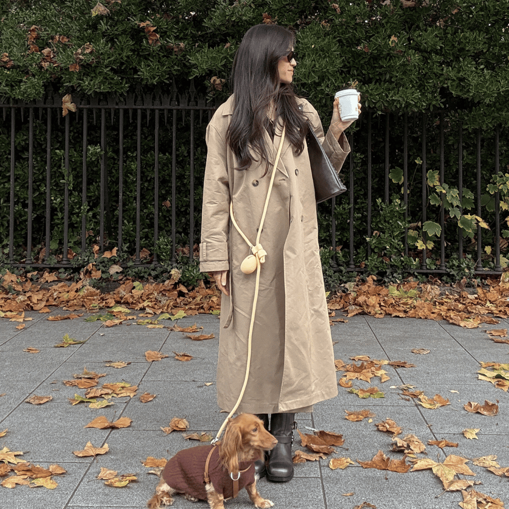 Butter hands free dog lead