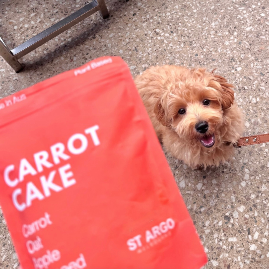 TREATS - Carrot Cake