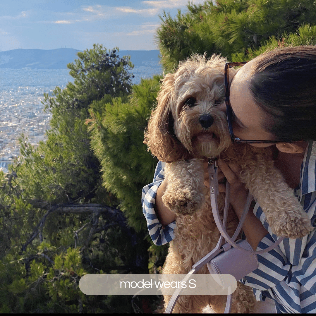 a cavoodle in greece wearing the lilac collar walk set in size small