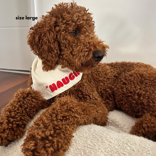 groodle in size large bandana