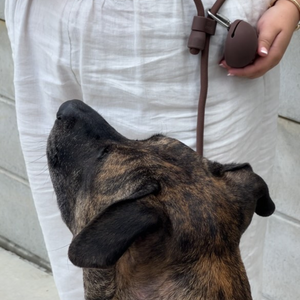 the cocoa treat pouch and hands free leash on