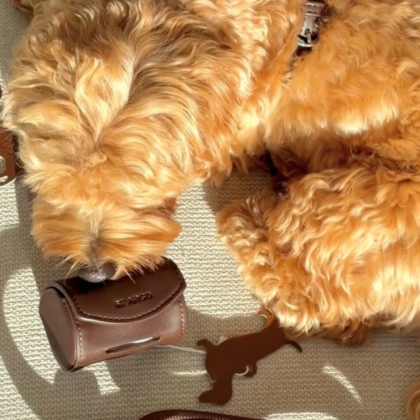 brown poop bag holder sniffed by moodle