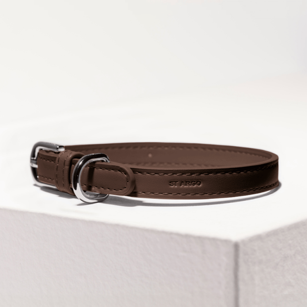 cocoa brown leather dog collar with silver buckle on a white background