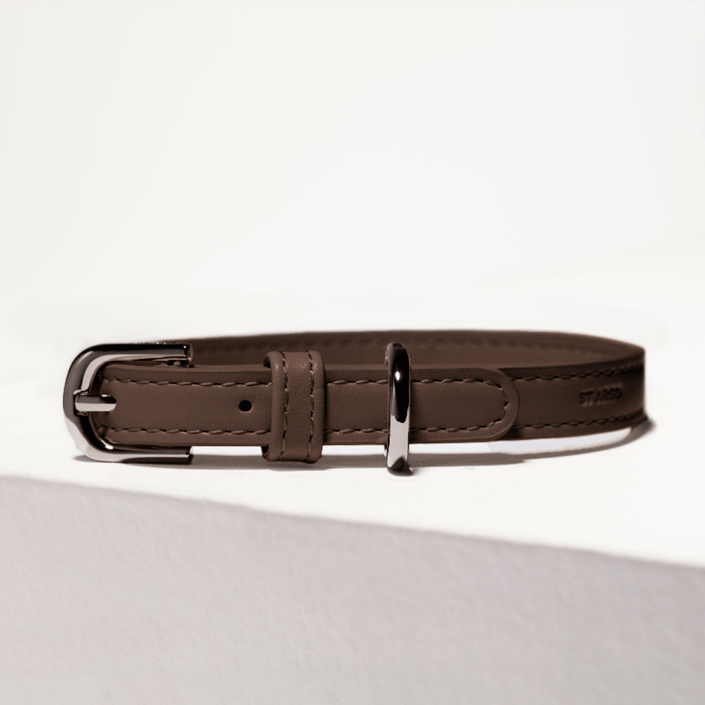 cocoa brown leather dog collar with silver buckle on a white background