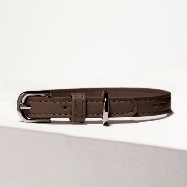 cocoa brown leather dog collar with silver buckle on a white background