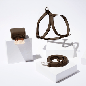 Cocoa dog harness, leash, and bag set on a white background
