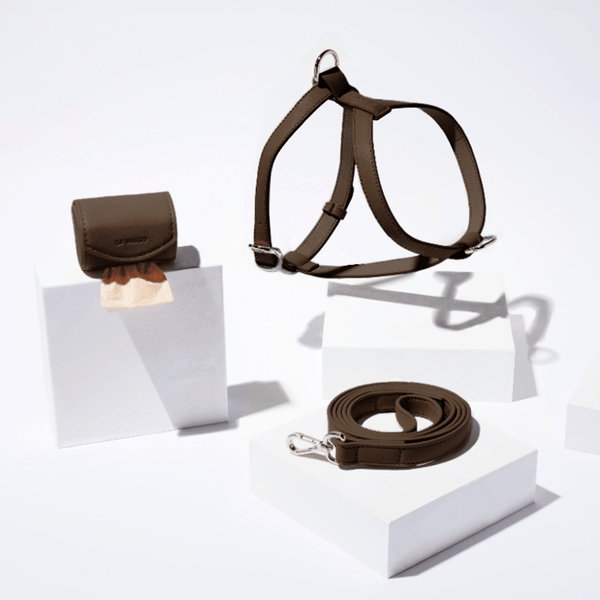 Cocoa dog harness, leash, and bag set on a white background