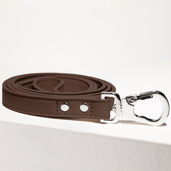 Cocoa leather dog leash with silver clasp on a white background