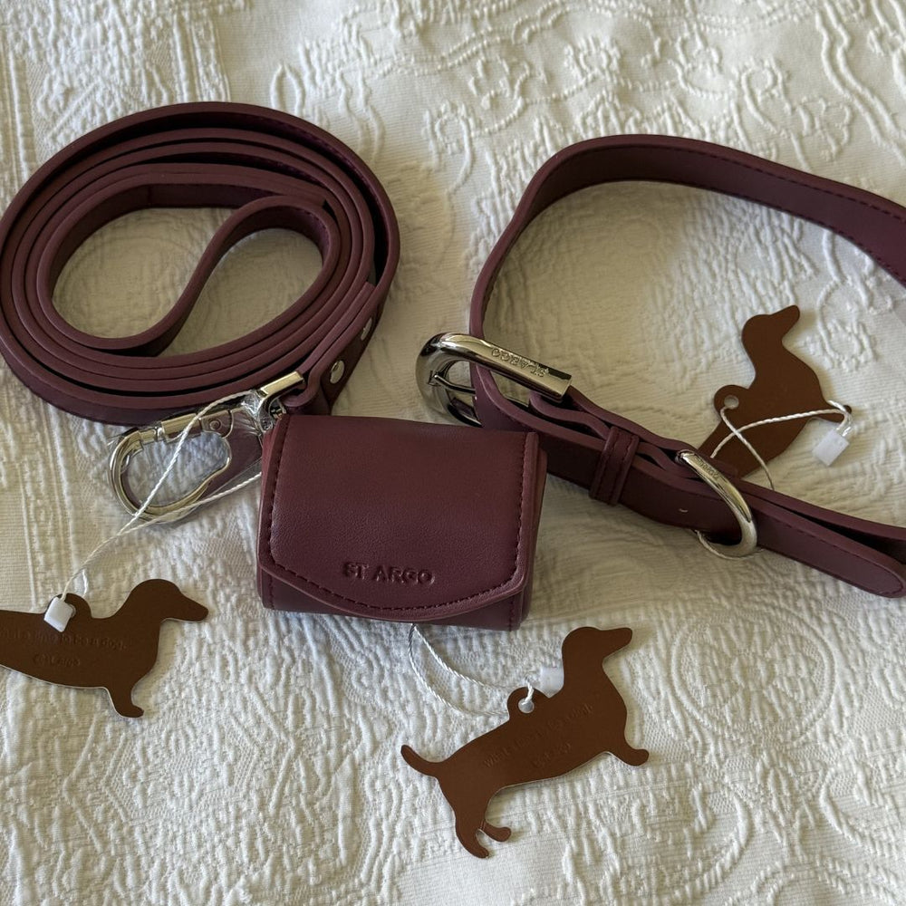 Dog collar, leash, and pouch set on a white background