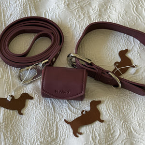 the collar, lead and poop bag holder in burgundy