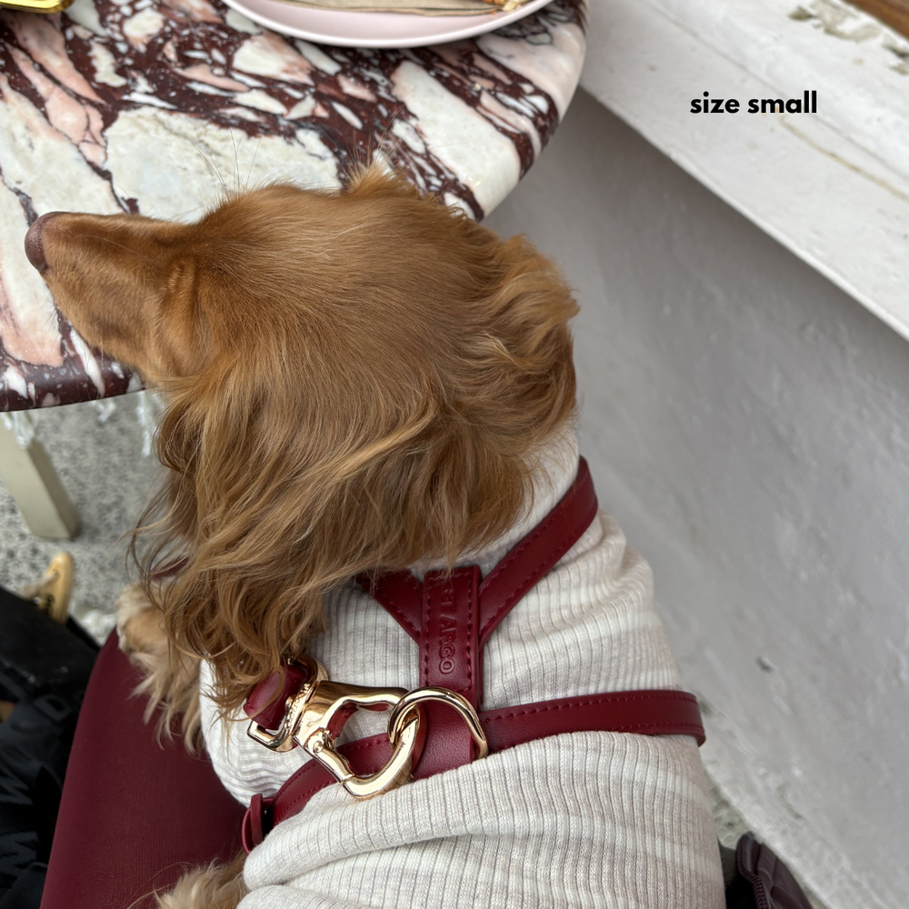 ST ARGO Ruby Red Dog Harness in Vegan Leather shot in white photo studio