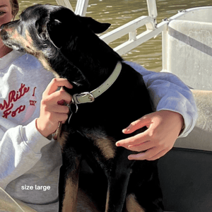 sage green collar size large on kelpie