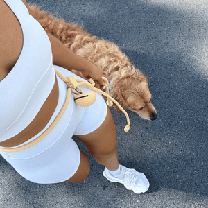 butter yellow hands free lead and treat pouch on walk