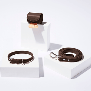 cocoa dog collar walk set