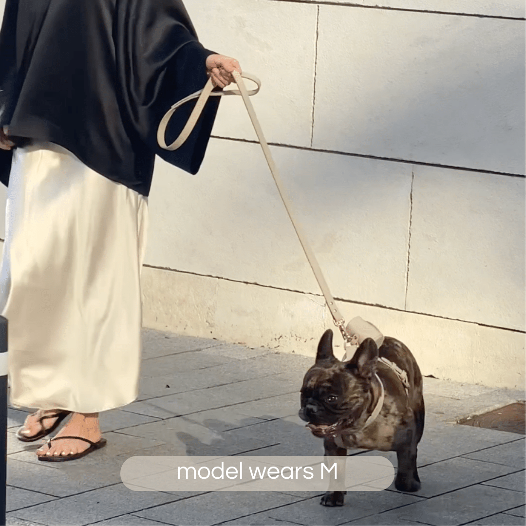 french bulldog in taupe harness walk set