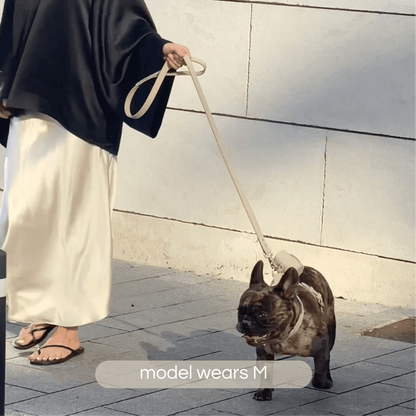 french bulldog in taupe harness walk set