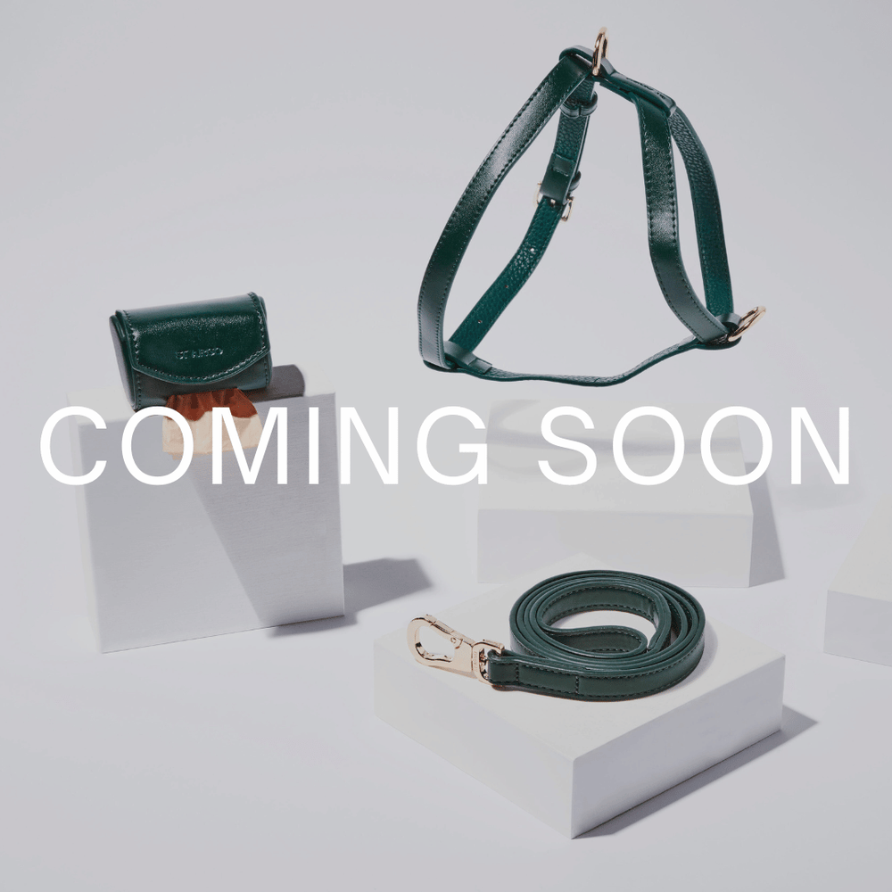 Green leather dog harness and leash set with 'COMING SOON' text on a white background