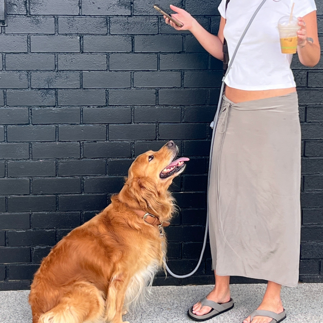 the grey hands free dog leash on a dog mom and her golden retriever