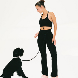 hands free dog lead in black
